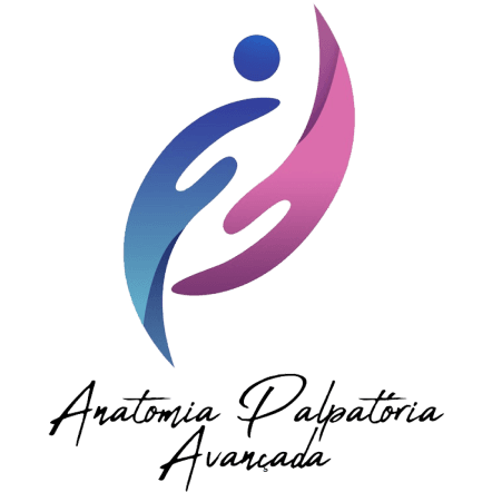 Logo da Anatomia Palpatória